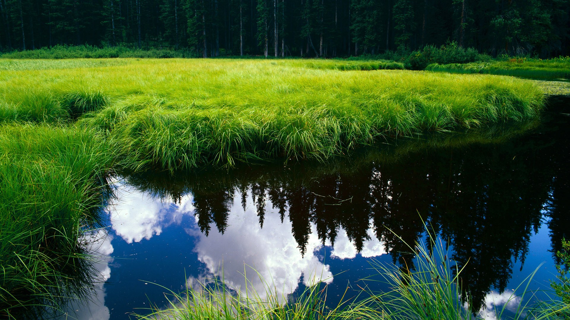 S赛历史回顾:历届冠军的战术特点与时代印记,s赛事历届冠军
