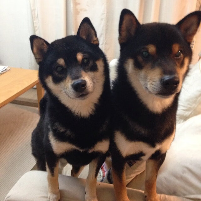 U23联赛火热进行，发现新星无数，u23t