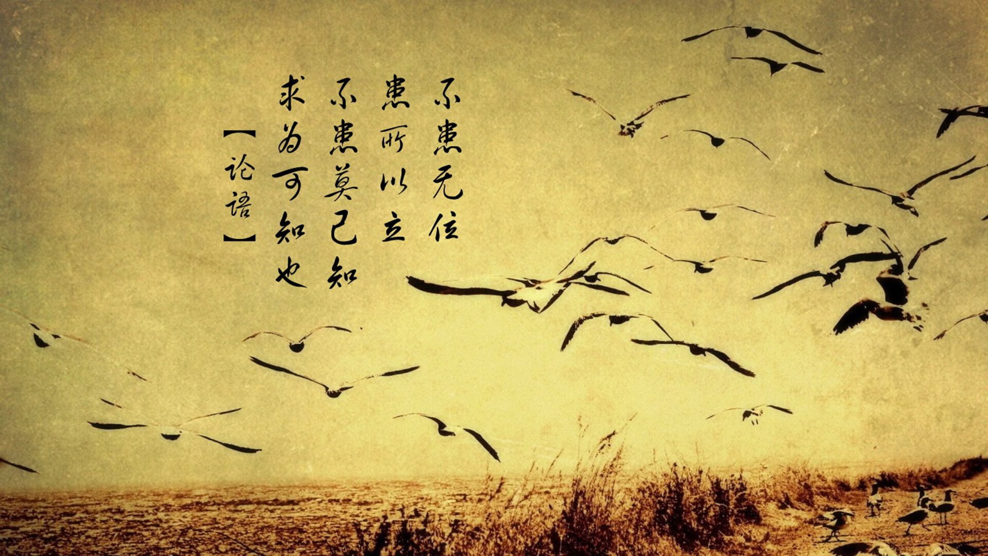 _日落马拉松：夕阳下的运动浪漫_，落日马场骑羊