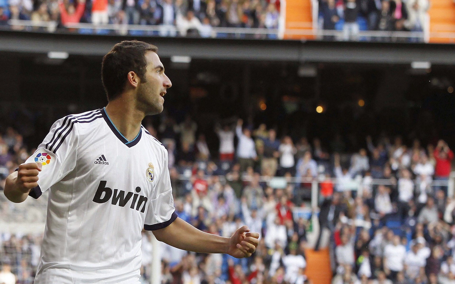 _骑士年轻新兵发光发热，未来光明在望_，骑士士兵