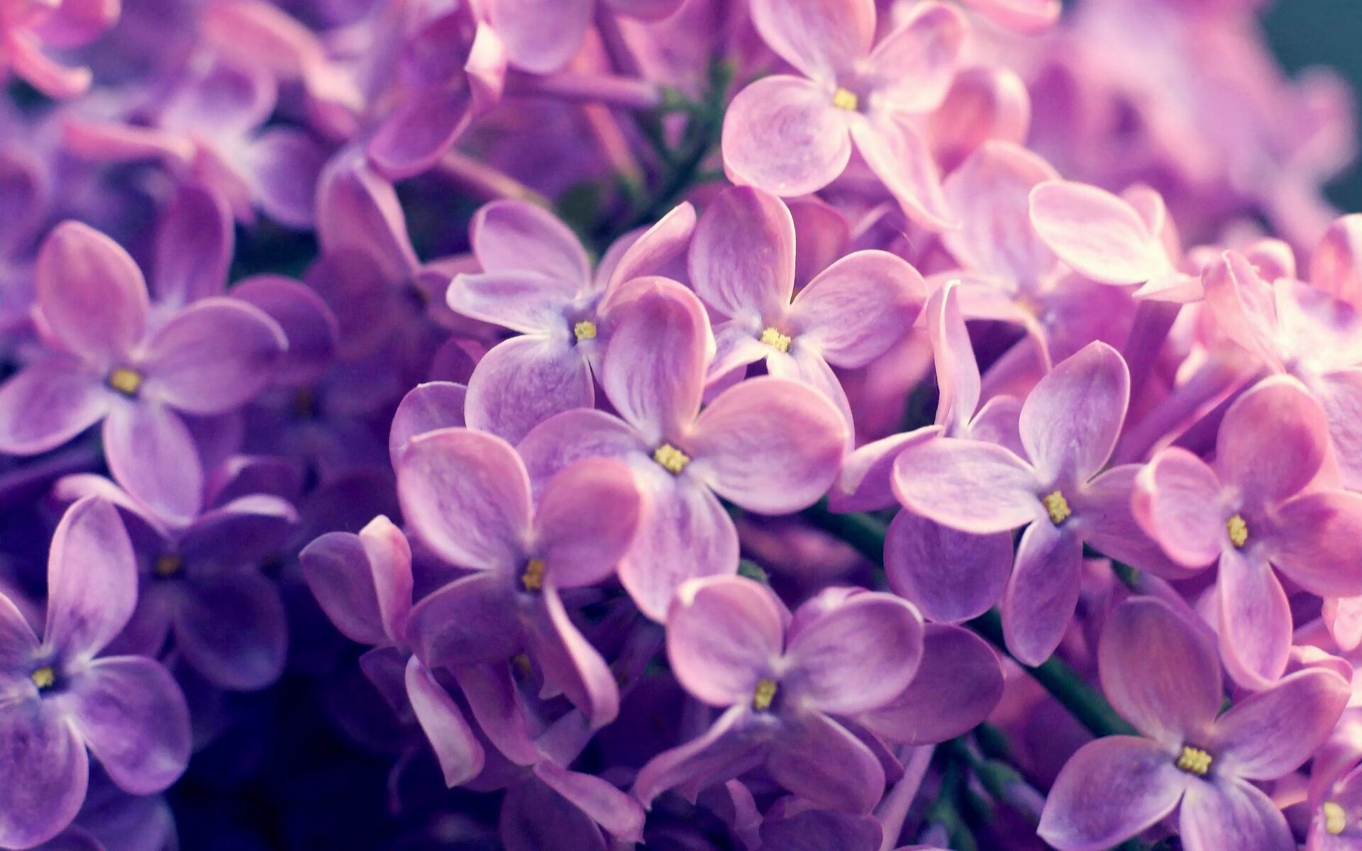 “法甲超级对决：大牌明星争夺无限高潮”，法甲超越葡超