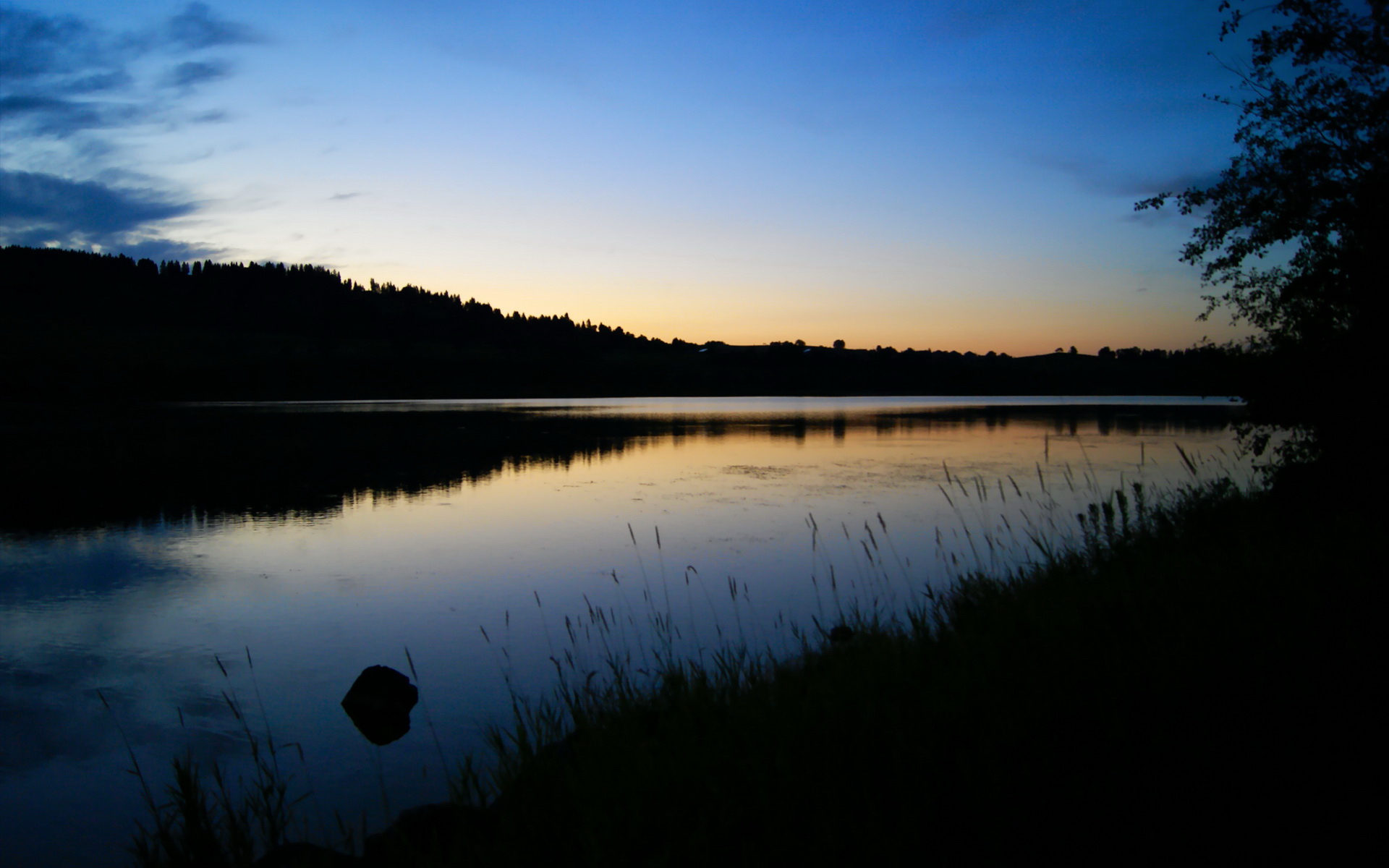 史上最具争议的欧冠判罚盘点,欧冠足球裁判