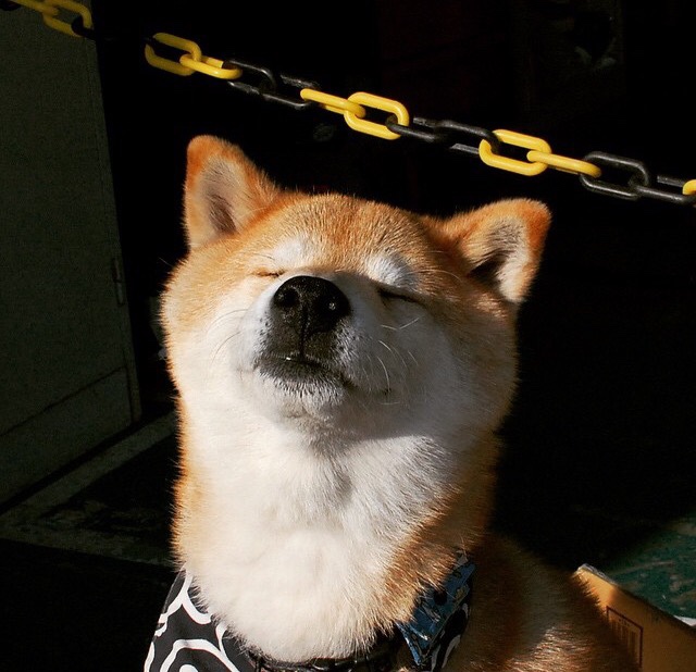 Gen.G选手转会市场动态，grf转会