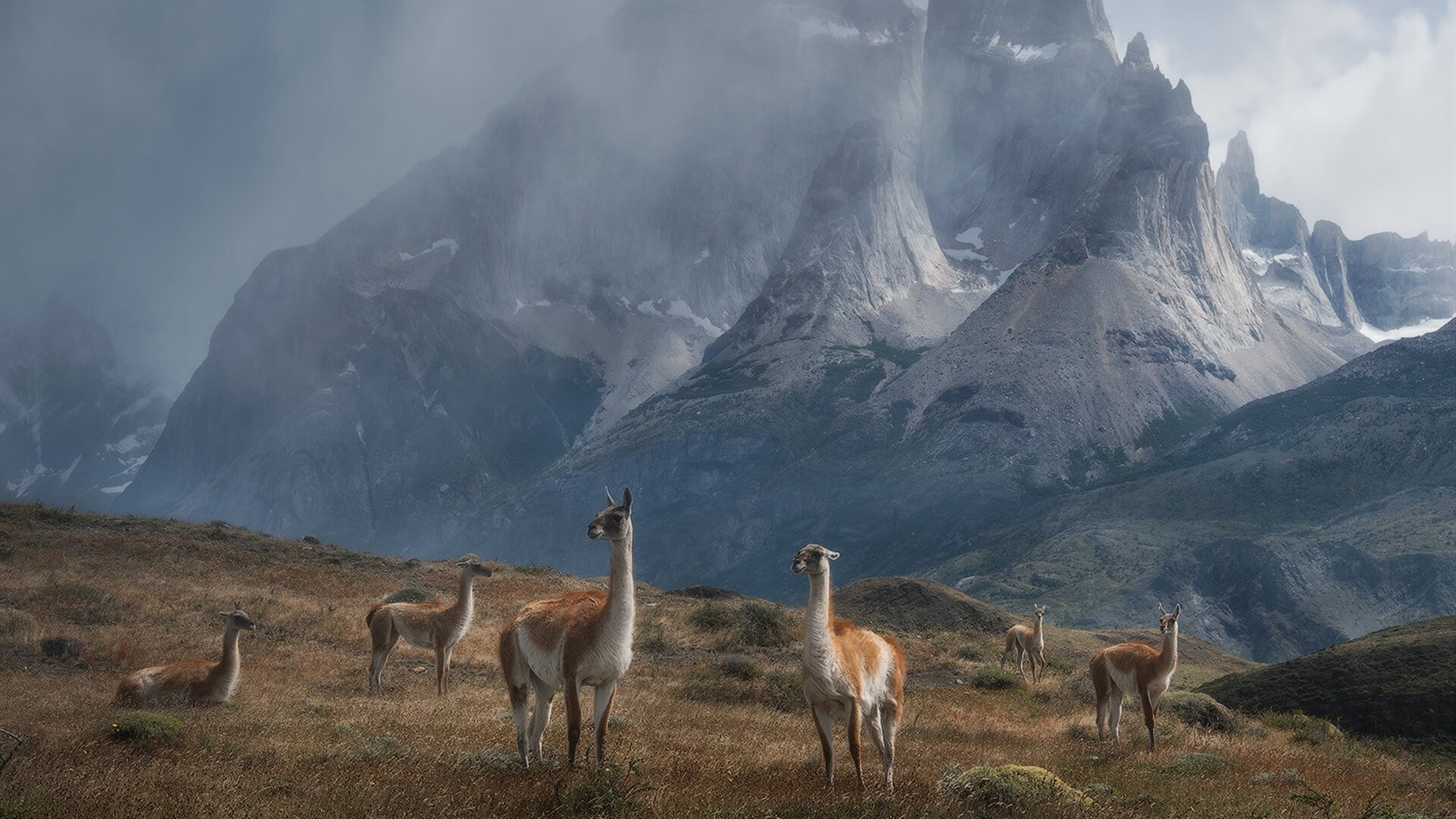 尤文图斯惊险会盘，幸赢下轮晋级，尤文图斯赛事安排