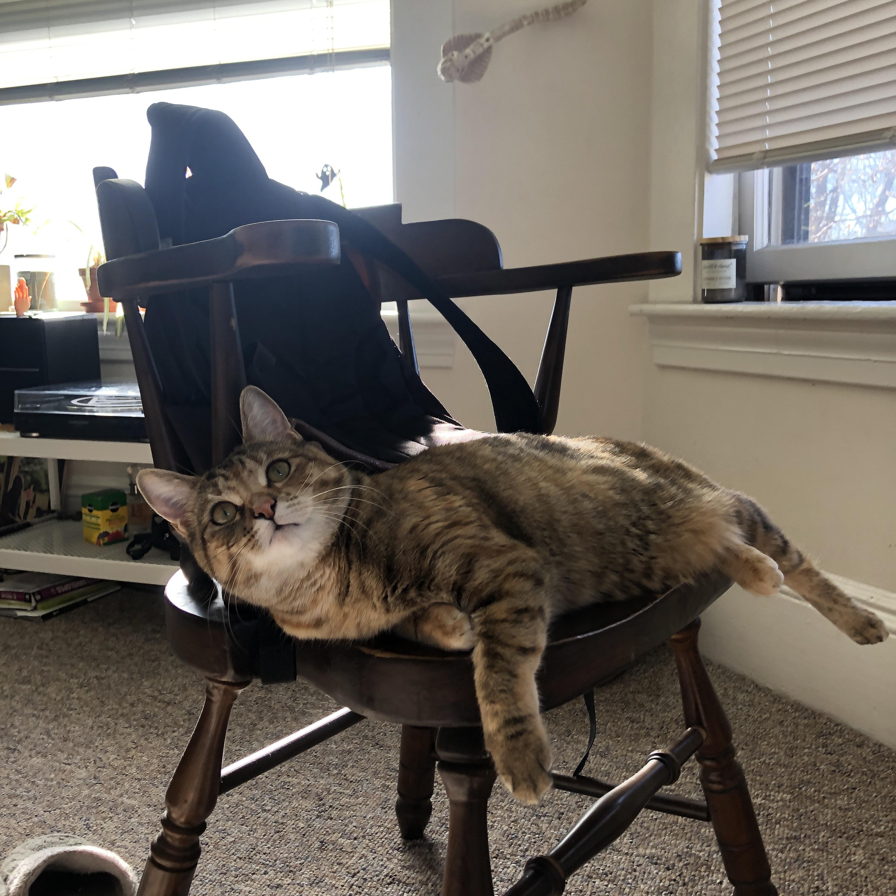 辽宁对阵武汉三镇，中超球队实力对比，辽宁对阵武汉三镇,中超球队实力对比分析