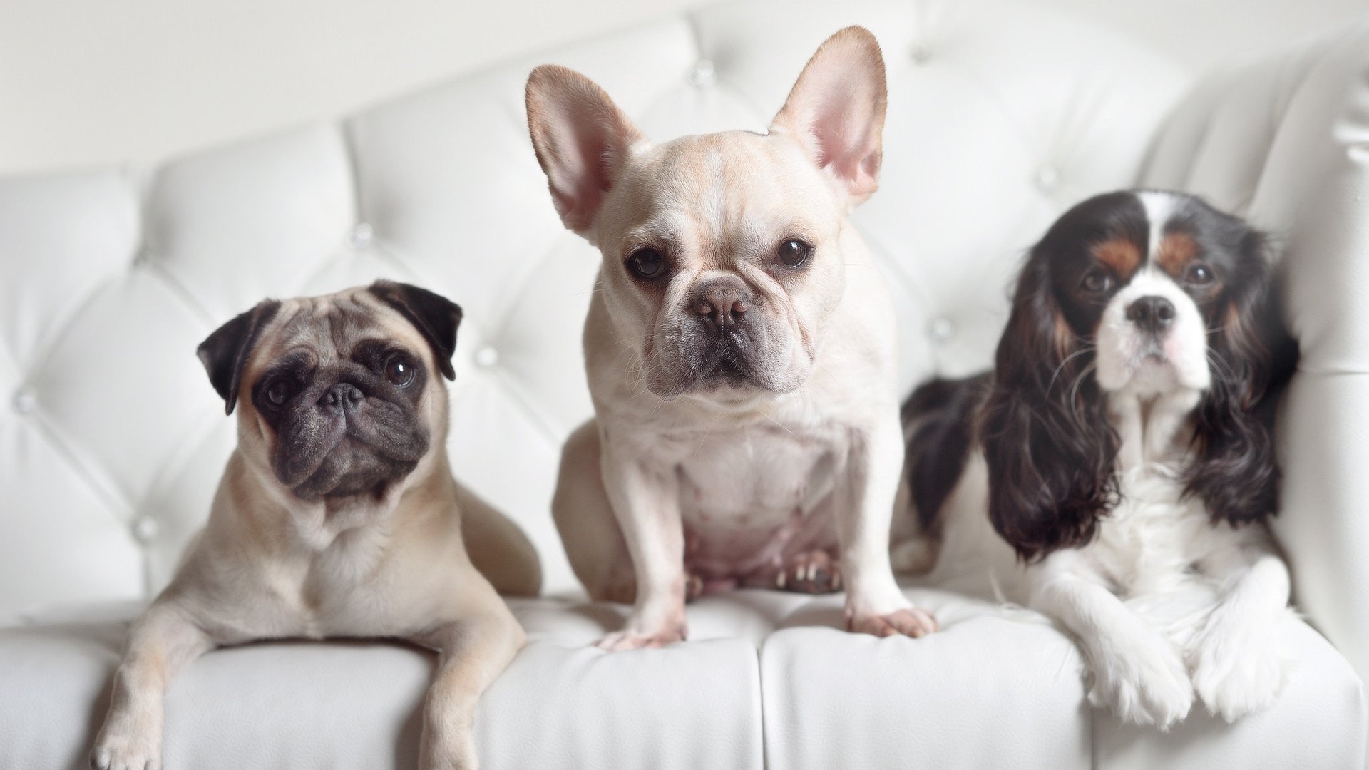 中国青少年篮球推广活动效果评估，青少年篮球培训地推方案