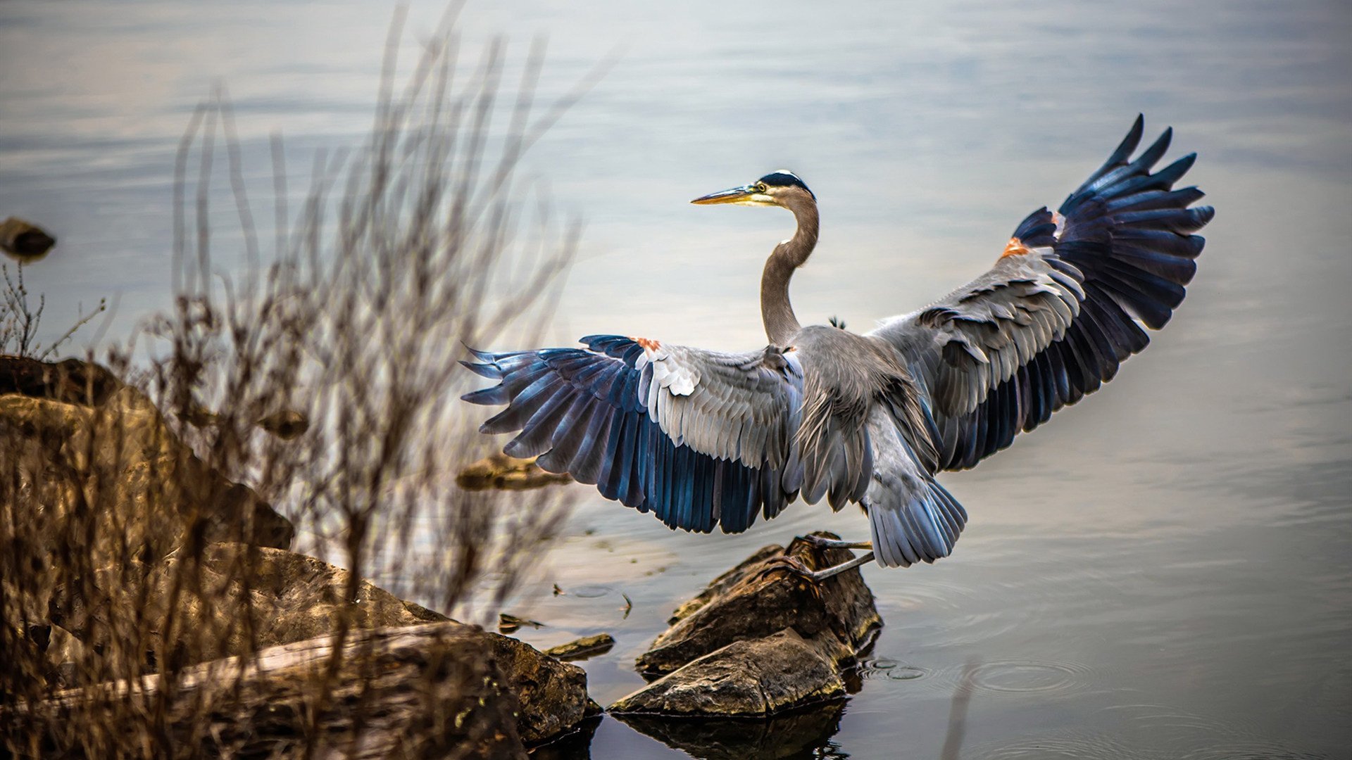 中小学体育课程教学改革成效评估,中小学体育教学改革落实方案