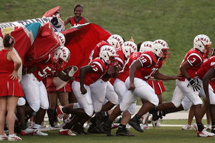 全国青少年长跑赛在南京掀起跑步热潮，青少年长跑标准