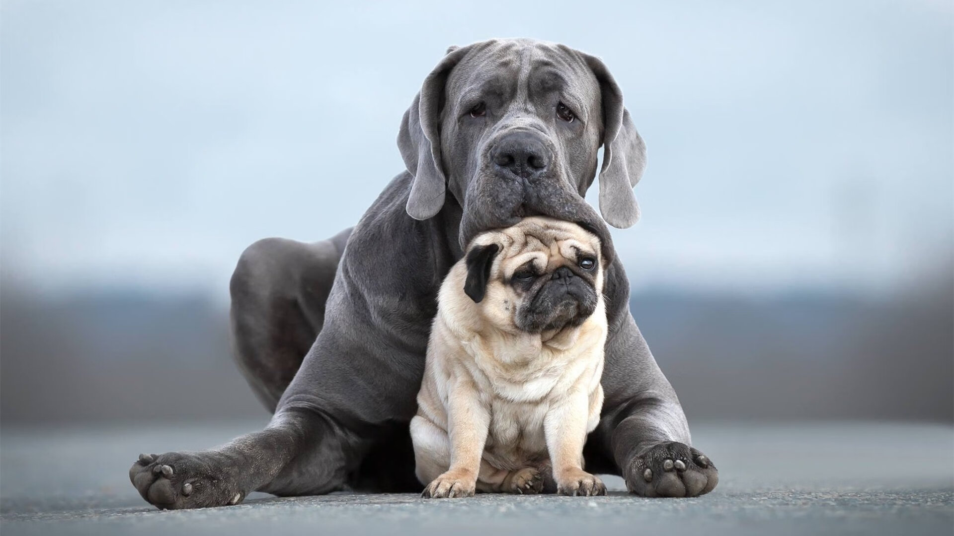 篮球专项体能训练周期设计与科学实施,篮球运动专项体能训练的研究