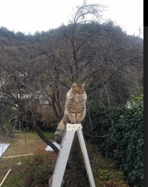 赛季冲刺:晋级与降级的生死战,新赛季晋级赛