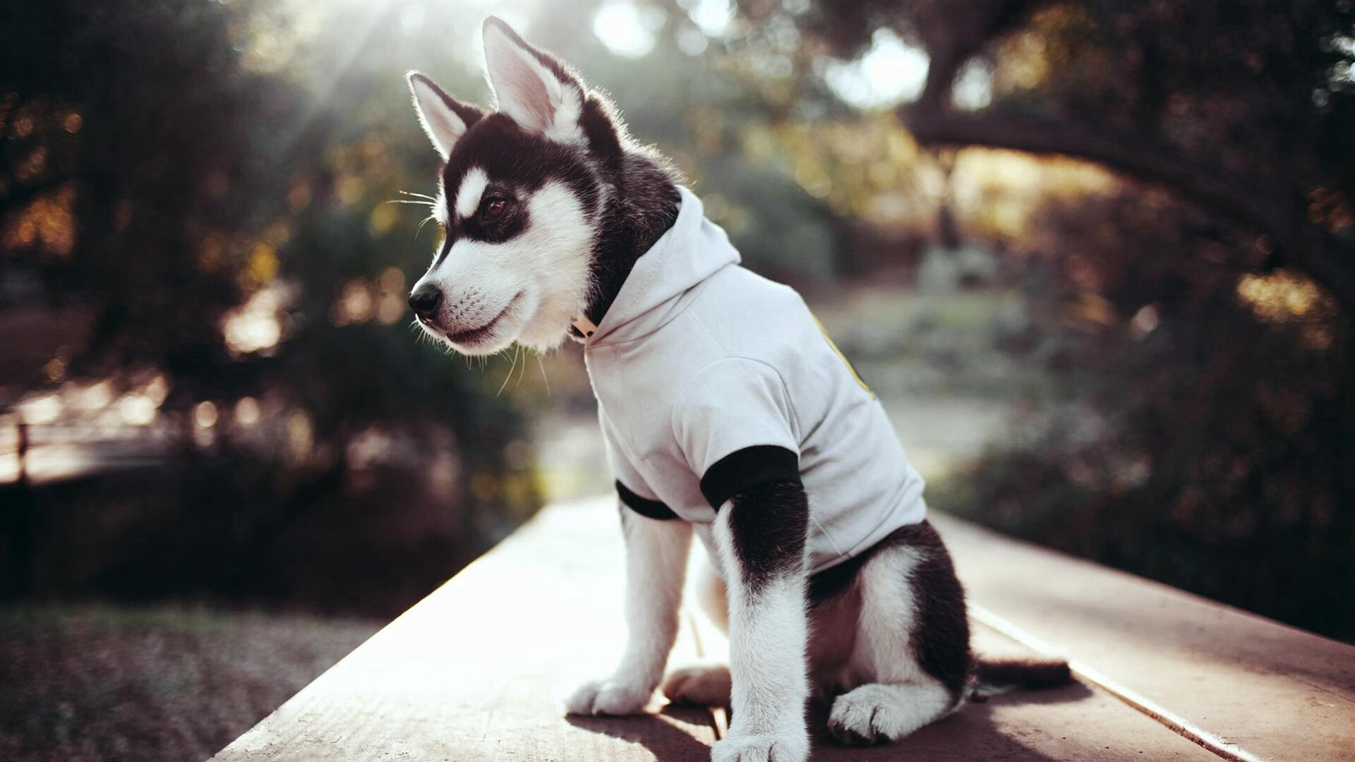 PSG压力下战术执行力下降显著