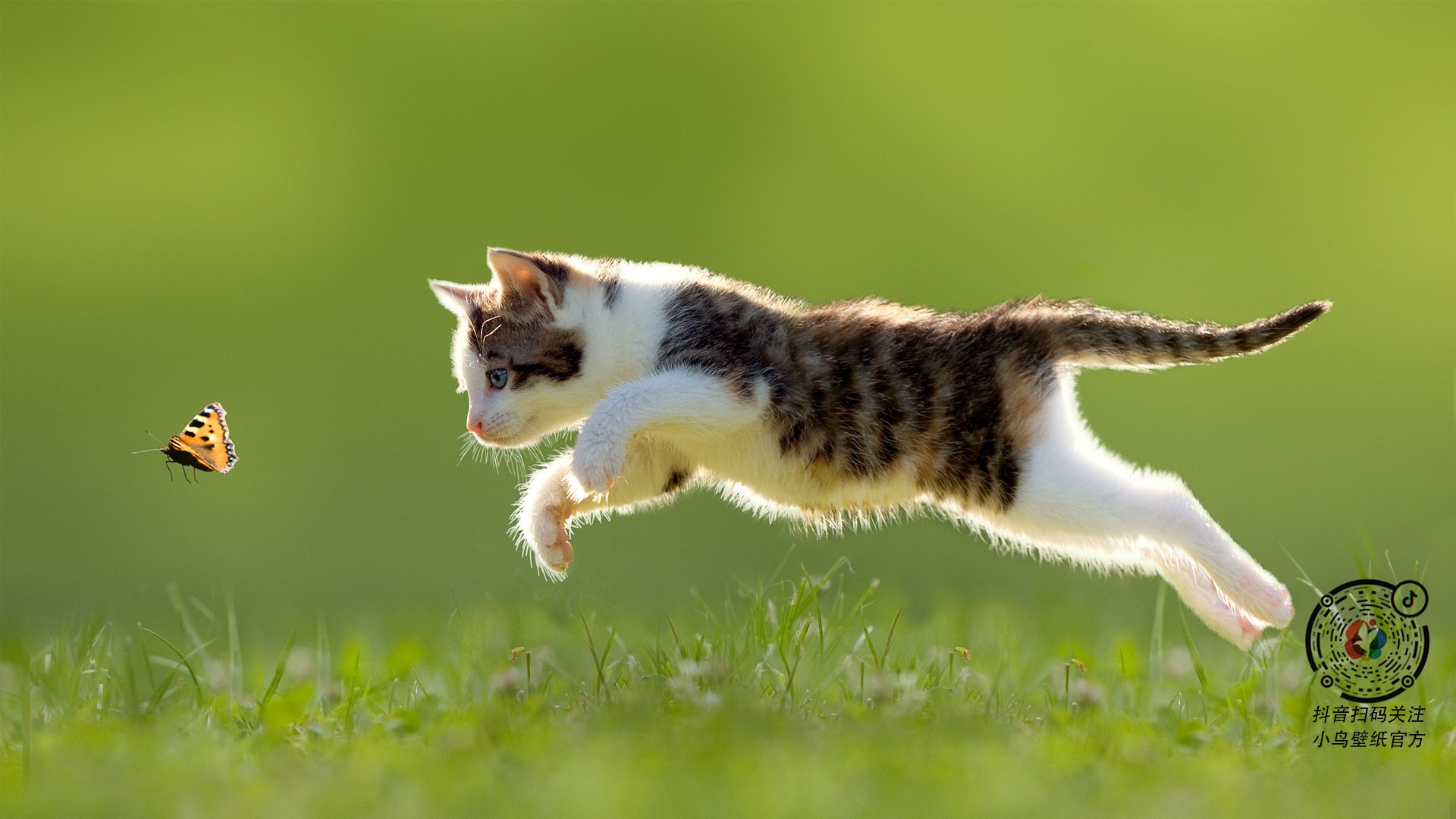 体育新闻中心推动体育赛事云计算直播平台建设,体育云信息平台管理系统