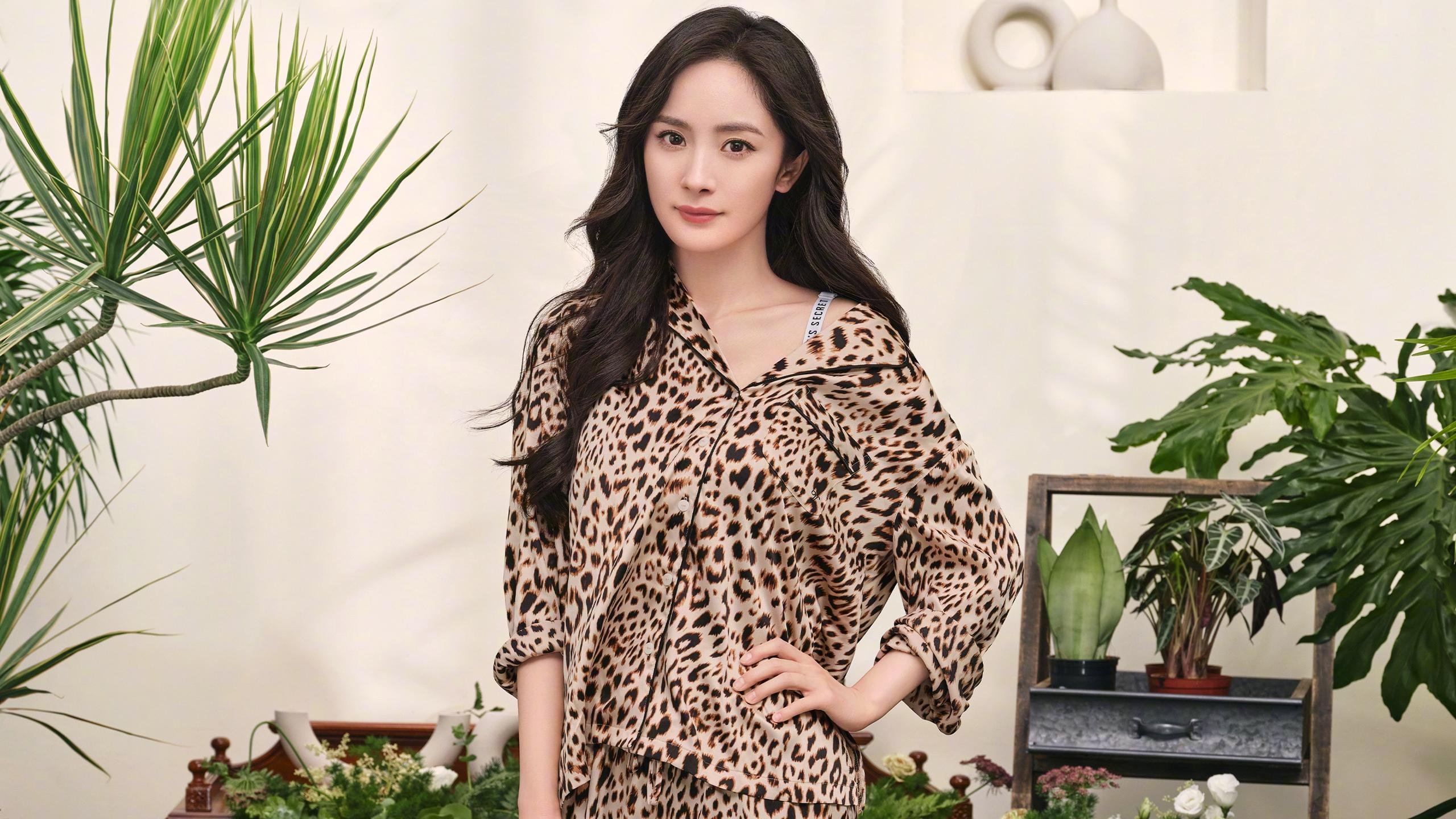 加拿大队赛制深度解析:团体赛制中的阵容与战术布置,加拿大 国家队