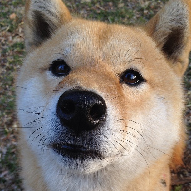奥预赛中国女足战胜 球迷支持球队发展,中国女足球奥运会预选赛赛程时间表