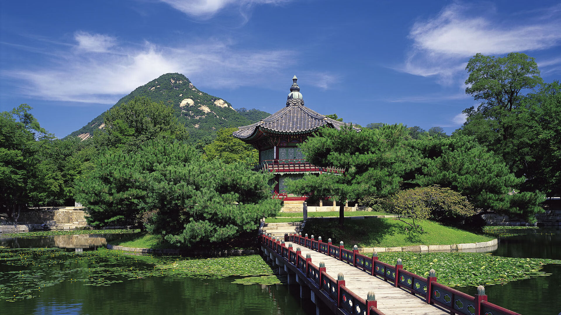 新加坡队赛制策略：团体赛事中的战术调整与人员配置，新加坡邀请赛决赛视频