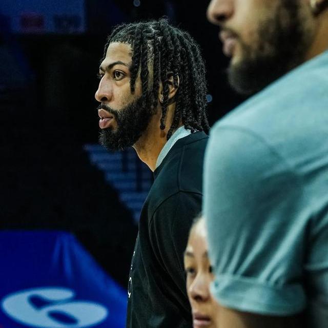 包含安东尼·戴维斯：湖人内线的守护者的词条